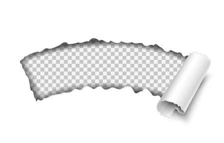 3d realistic vector paper torn on white background, template design with space for text.のイラスト素材