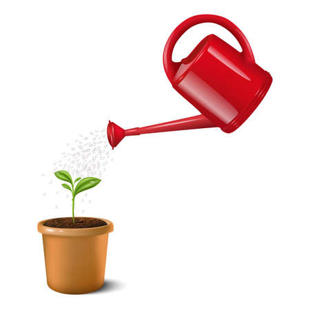 3d realistic vector icon illustration of red water can watering small green plant in a clay brown pot. Isolated on white background.のイラスト素材