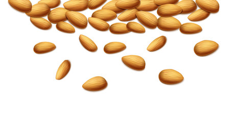 realistic vector background. Almond nuts. Isolated on white background.のイラスト素材