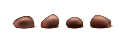 realistic vector icon. Pine nut collection in different shape in the shells. Isolated on white background.のイラスト素材