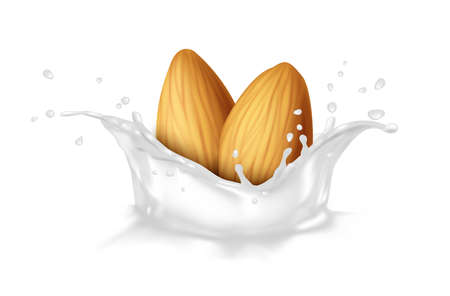 3d realistic vector icon. Design element for packaging, banners, advertising and flyers. Dairy. Almonds in a milk splash.のイラスト素材
