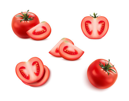 realistic vector icon set. Red tomato whole, cut and sliced fresh tomato.のイラスト素材