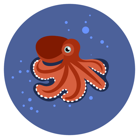 Red octopus character in flat style for zoo ad, nature concept, children book illustratingのイラスト素材