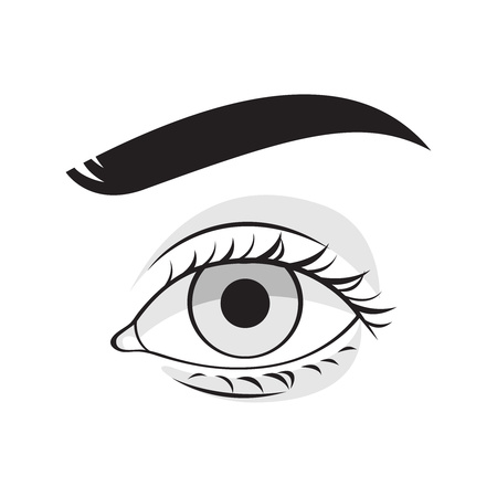 Human eye vector illustration. Woman or man face part icon.のイラスト素材