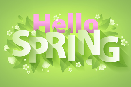 Hello Spring quote message background vector illustration.のイラスト素材
