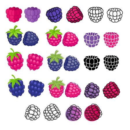 Different berries and raspberry icons big set.のイラスト素材