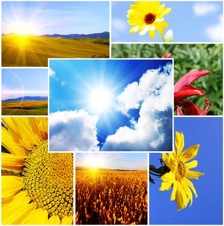 Combined photos on the theme of the summerの写真素材