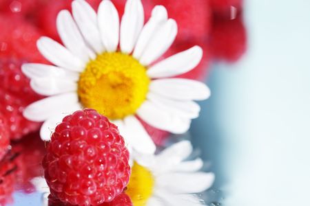 Chamomile and raspberriesの写真素材