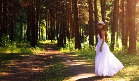 girl in a wedding dress in the woodsの写真素材