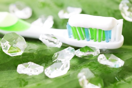 Toothbrush on green leafの写真素材