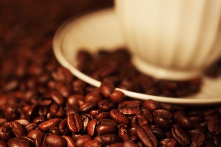 coffee beans against a dark background