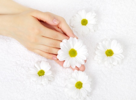hands with a white chrysanthemum on towelの写真素材