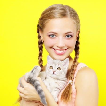 Smiling girl with Scottish kitten on yellow backgroundの写真素材