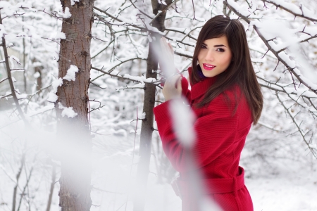 Beautiful elegant woman in red coat  winter natureの写真素材