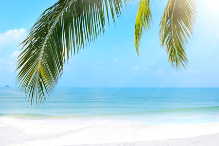 Tropical beach. Koh Chang, Thailandの写真素材