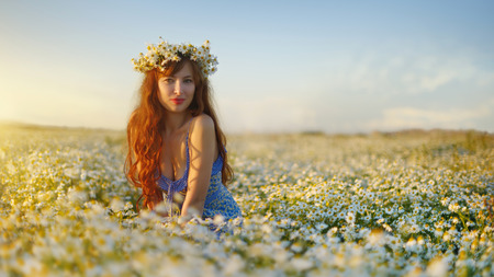 Beautiful girl in daisy field. Summer sunsetの写真素材