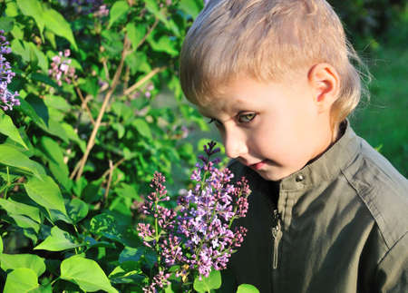 Boy With Lilac for motherの写真素材