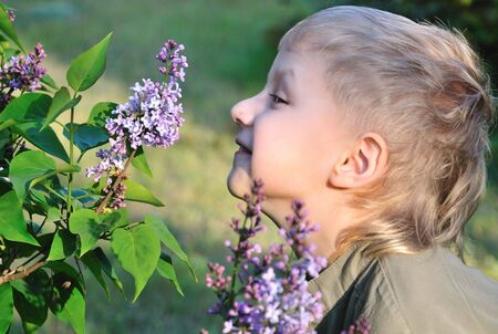 Little blond boy is smelling a lilac in nice spring dayの写真素材