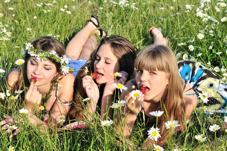 three friends teen girls eating strawberry on the daisy field の写真素材