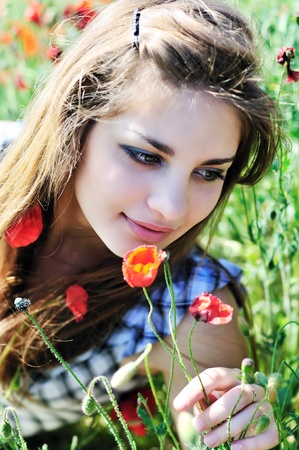 tender pretty smelling poppy in the the poppy field の写真素材