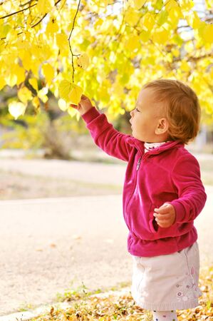 baby girl  with autumn leaves on the treeの写真素材