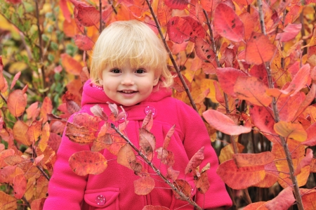 toddler girl standing near fall bushesの写真素材