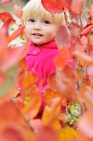 Peekaboo! I see you! - baby in bushesの写真素材