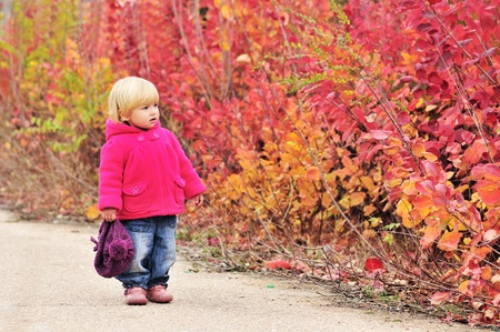 toddler girl walking along bright bushesの写真素材