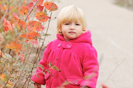 tired toddler girl standing near fall bushesの写真素材