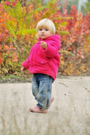 toddler girl walking along bright bushesの写真素材