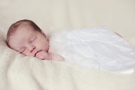 sleeping angelic newborn with feather wingsの写真素材