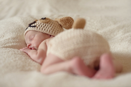  sleeping newborn wearing dog costumeの写真素材