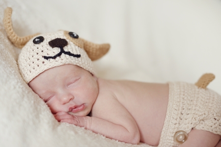 funny  little newborn wearing dog costumeの写真素材