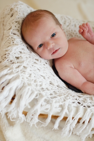 two weeks old serious newborn  の写真素材