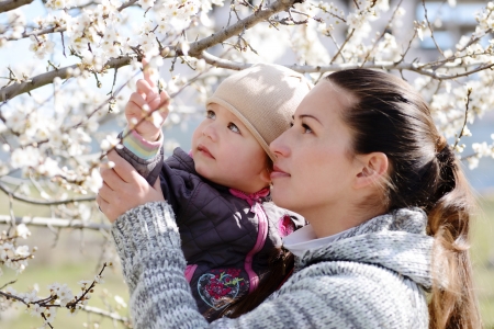 woman with child looking on  the blossom treeの写真素材
