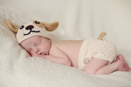tiny sleeping newborn wearing costume of dogの写真素材