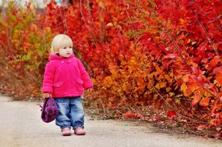 autumn toddler walk along bright bushesの写真素材