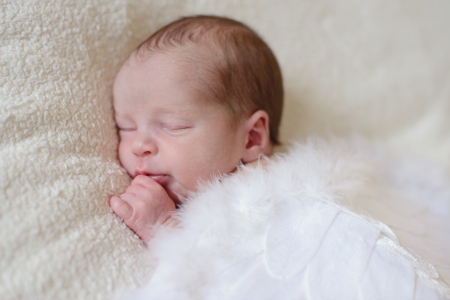 sleeping angelic newborn with feather wingsの写真素材