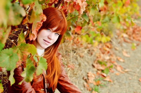 redhead girl in the fall timeの写真素材