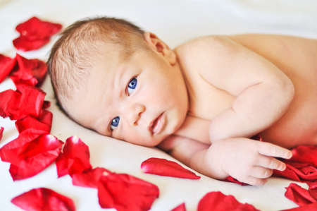 one weeks newborn girl laying with rose petalsの写真素材