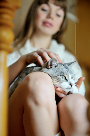  pet cat on the knees of girlの写真素材