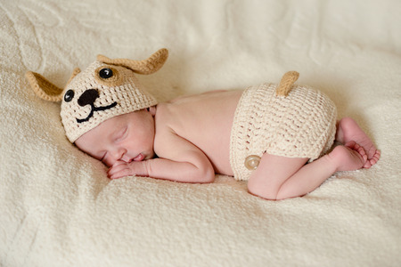 funny little newborn wearing dog costumeの写真素材
