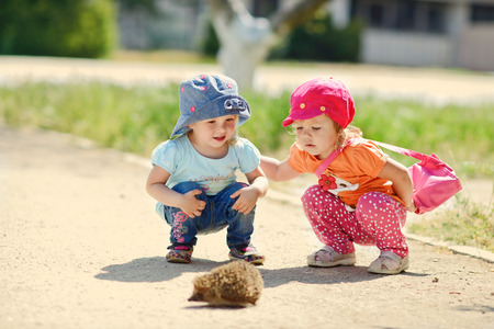 two baby friends looking at the hedgehog,の写真素材