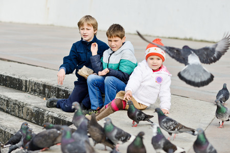 Â three children feeding doves in the cityの写真素材