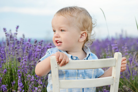 baby boy  in lavender summer fieldの写真素材