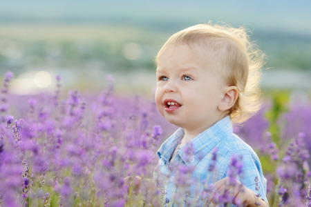 baby boy  in lavender summer fieldの写真素材