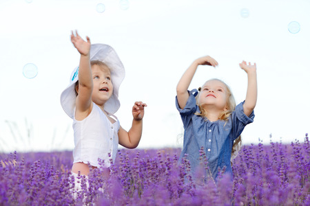 two toddler girls catchig soap bubbles in lavender fieldの写真素材