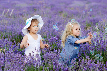 two toddler girls catching soap bubbles in lavender fieldの写真素材