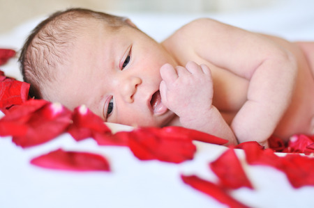 newborn girl laying in rose petalsの写真素材