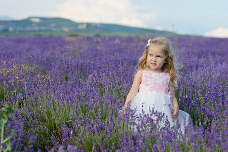 sweet toddler girl standing in lavender fieldの写真素材